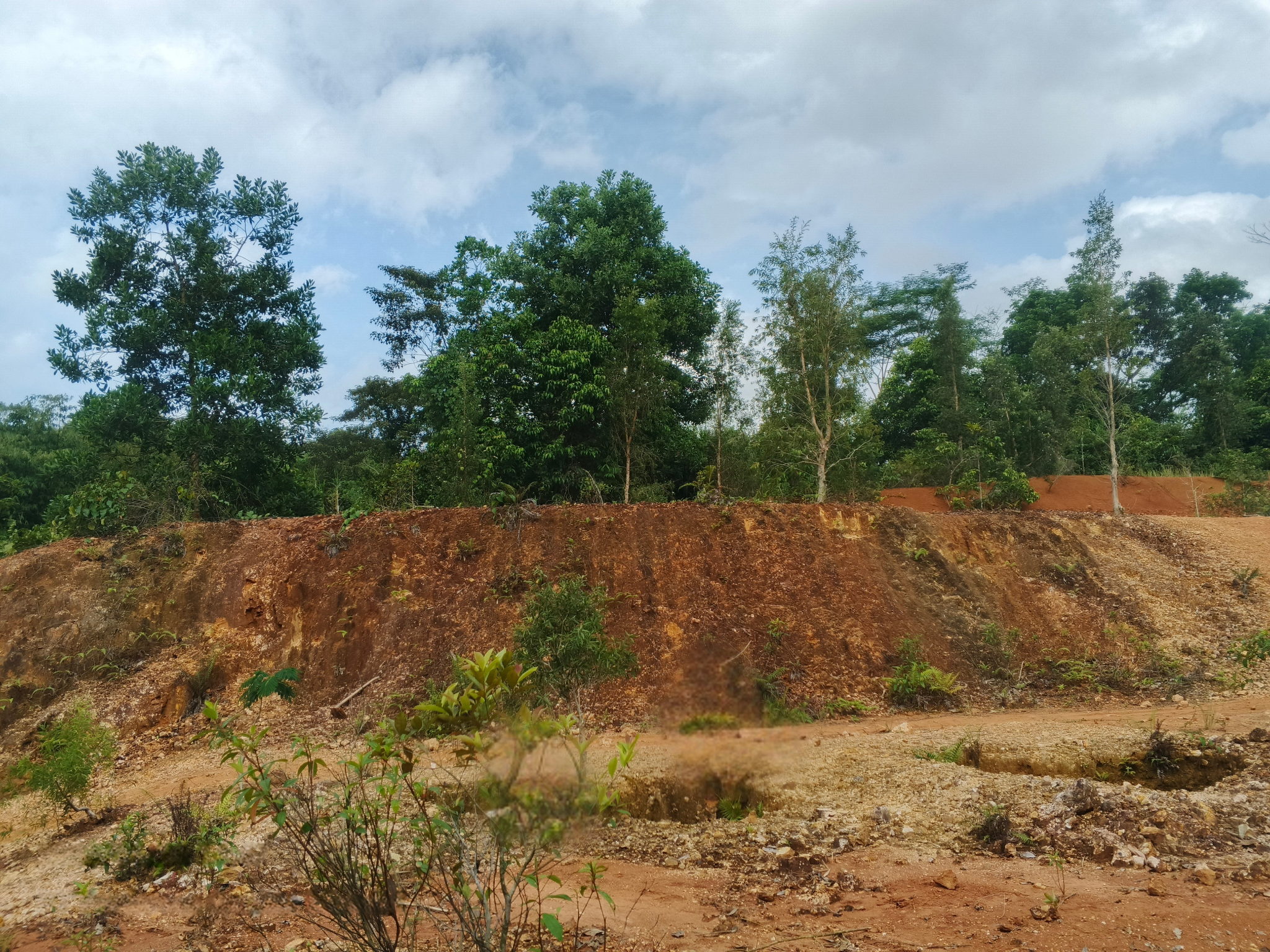 1.A. Kondisi awal Tebing Batuan Cadas dengan pH 4 dan kemiringan lebih dari 75 derajat