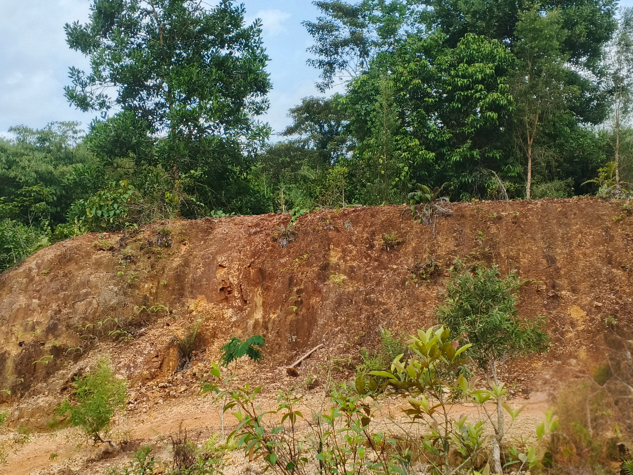 1.B. Kondisi awal Tebing Batuan Cadas dengan pH 4 dan kemiringan lebih dari 75 derajat
