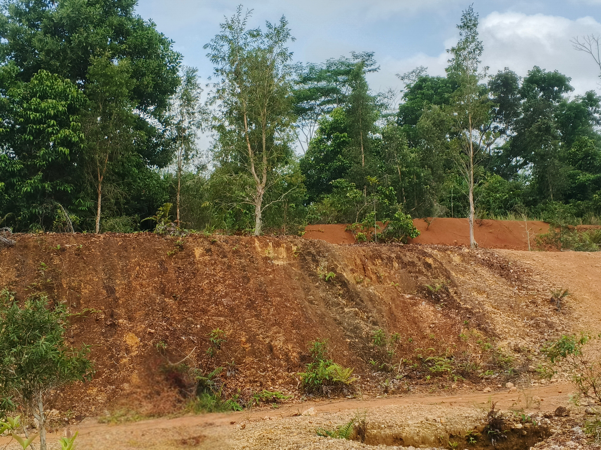 1.C. Kondisi awal Tebing Batuan Cadas dengan pH 4 dan kemiringan lebih dari 75 derajat