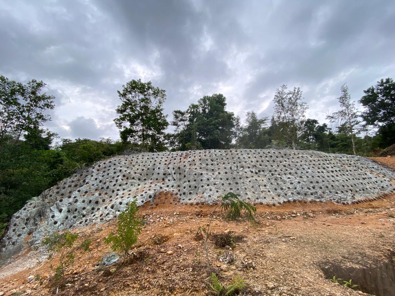 2.A. Diaplikasikan material EGLUE untuk meningkatkan pH Tebing Batuan Cadas. Setelah pH tebing berhasil dinetralkan, dilakukan STIQSLOPE Templok dengan benih Legume Cover Crop (LCC)