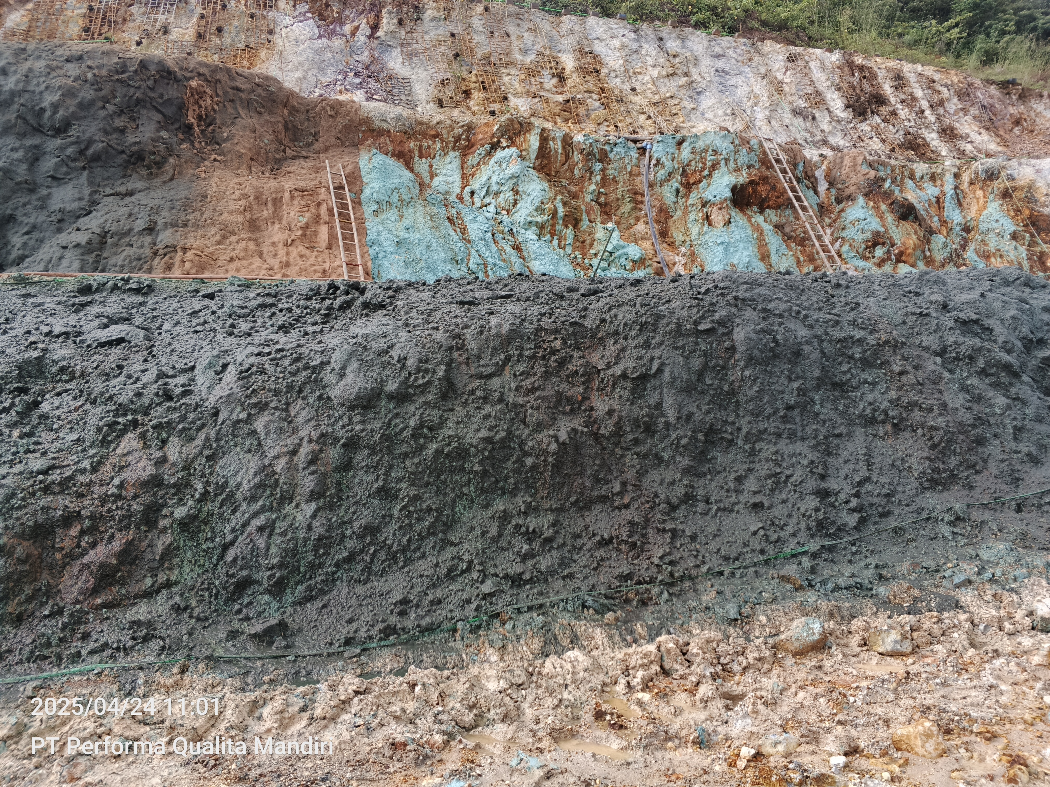 3. Aplikasi GREEN STIQSLOPE Hydroseeding dengan benih Signal Grass dan Stylosanthes di Lembah Batuan Sulfur