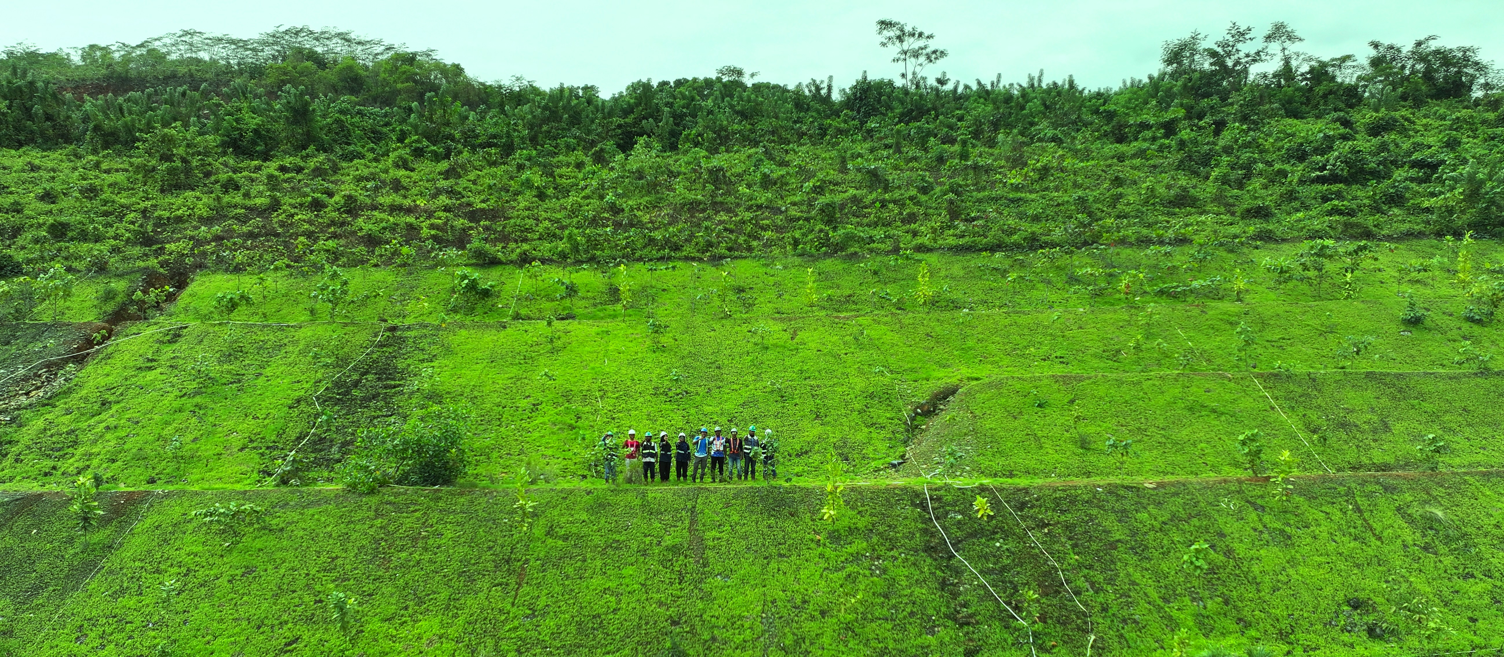 4.C. Kondisi terasering 3-4 minggu setelah GREEN STIQSLOPE Hydroseeding